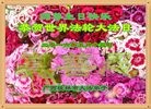 ֹ,󷨵ӹ編ִʦ𻪵(23)
