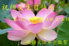 ֹ,½󷨵ӹ編ִʦ𻪵(24)
