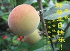 ֹ,㶫󷨵ӹ編ִʦ𻪵(25)
