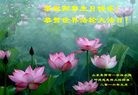 ֹ,ൺ󷨵ӹ編ִʦ𻪵(24)
