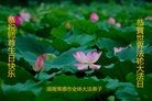 法轮功,湖南大法弟子恭贺世界法轮大法日暨师尊华诞(24条)
