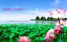 ֹ,̽󷨵ӹ編ִʦ𻪵(23)
