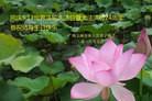 ֹ,󷨵ӹ編ִʦ𻪵(23)

