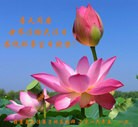 ֹ,«󷨵ӹ編ִʦ𻪵(25)
