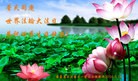 ֹ,«󷨵ӹ編ִʦ𻪵(25)
