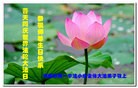ֹ,֣ݴ󷨵ӹ編ִʦ𻪵(25)
