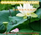 ֹ,Ϋ󷨵ӹ編ִʦ𻪵(25)
