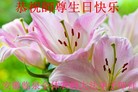 ֹ,մ󷨵ӹ編ִʦ𻪵(29)
