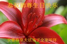 ֹ,մ󷨵ӹ編ִʦ𻪵(29)
