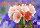 ֹ,մ󷨵ӹ編ִʦ𻪵(27)
