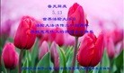 ֹ,󷨵ӹ編ִʦ𻪵(28)
