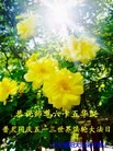 ֹ,д󷨵ӹ編ִʦ𻪵(25)
