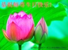 ֹ,ൺ󷨵ӹ編ִʦ𻪵(21)
