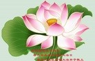 ֹ,󷨵ӹ編ִʦ𻪵(29)

