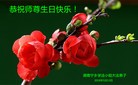 法轮功,湖南大法弟子恭贺世界法轮大法日暨师尊华诞(26条)
