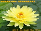 ֹ,ϴ󷨵ӹ編ִʦ𻪵(25)
