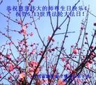 ֹ,󷨵ӹ編ִʦ𻪵(24)
