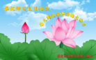ֹ,󷨵ӹ編ִʦ𻪵(31)
