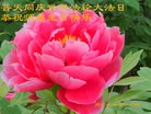 ֹ,֣ݴ󷨵ӹ編ִʦ𻪵(25)
