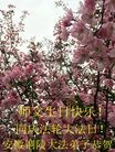 ֹ,մ󷨵ӹ編ִʦ𻪵(27)
