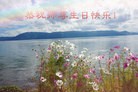 ֹ,󷨵ӹ編ִʦ𻪵(26)
