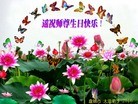ֹ,̽󷨵ӹ編ִʦ𻪵(23)

