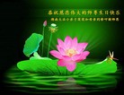 法轮功,湖南大法弟子恭贺世界法轮大法日暨师尊华诞(26条)
