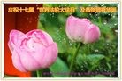 ֹ,󷨵ӹ編ִʦ𻪵(27)

