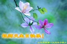 ֹ,д󷨵ӹ編ִʦ𻪵(29)
