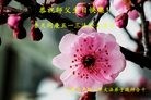 ֹ,մ󷨵ӹ編ִʦ𻪵(28)
