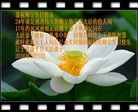 ֹ,󷨵ӹ編ִʦ𻪵(25)
