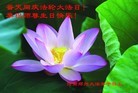 ֹ,֣ݴ󷨵ӹ編ִʦ𻪵(26)
