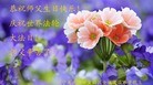 ֹ,󷨵ӹ編ִʦ𻪵(25)
