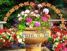 ֹ,ݴ󷨵ӹ編ִʦ𻪵(26)
