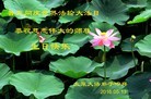 ֹ,ɽ󷨵ӹ編ִʦ𻪵(26)
