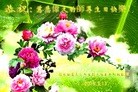 ֹ,«󷨵ӹ編ִʦ𻪵(24)
