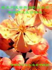 ֹ,Ϋ󷨵ӹ編ִʦ𻪵(25)
