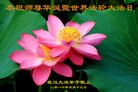 ֹ,󷨵ӹ編ִʦ𻪵(23)

