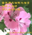 ֹ,Ϋ󷨵ӹ編ִʦ𻪵(25)

