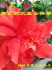 ֹ,Ϋ󷨵ӹ編ִʦ𻪵(25)
