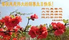 ֹ,󷨵ӹ編ִʦ𻪵(24)
