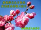 ֹ,մ󷨵ӹ編ִʦ𻪵(27)
