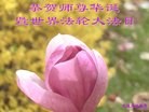 ֹ,󷨵ӹ編ִʦ𻪵(24)
