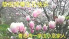 ֹ,ൺ󷨵ӹ編ִʦ𻪵(24)
