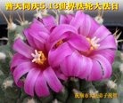 ֹ,󷨵ӹ編ִʦ𻪵(22)

