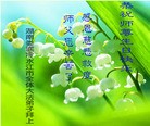 法轮功,湖南大法弟子恭贺世界法轮大法日暨师尊华诞(22条)
