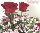 ֹ,󷨵ӹ編ִʦ𻪵(24)
