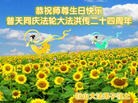 ֹ,󷨵ӹ編ִʦ𻪵(22)
