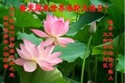 ֹ,󷨵ӹ編ִʦ𻪵(23)
