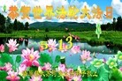 ֹ,󷨵ӹ編ִʦ𻪵(19)
